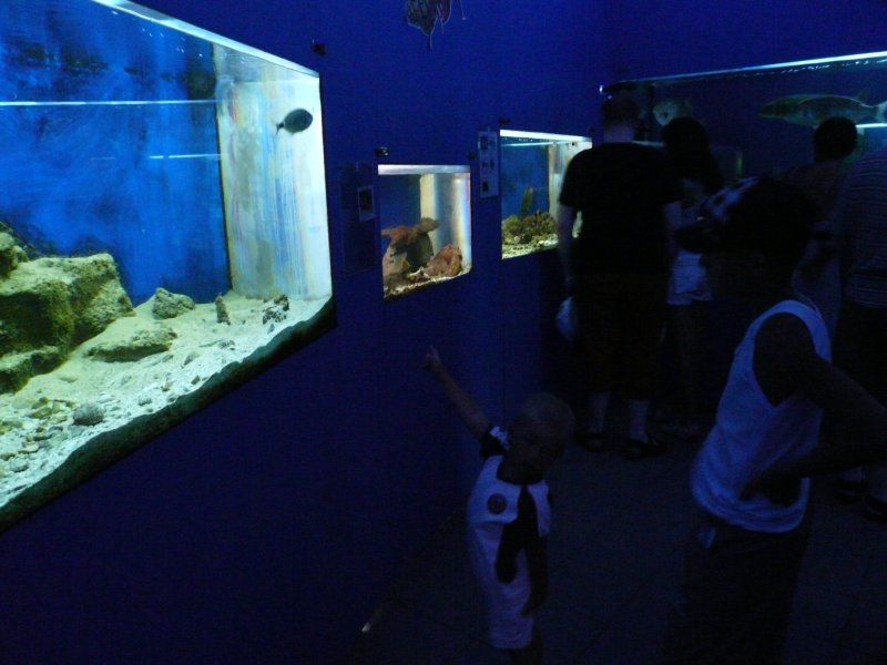 Zwiedzanie aquarium w Porec