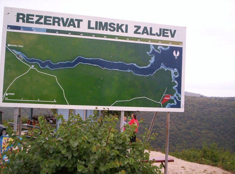 Limski Zalew