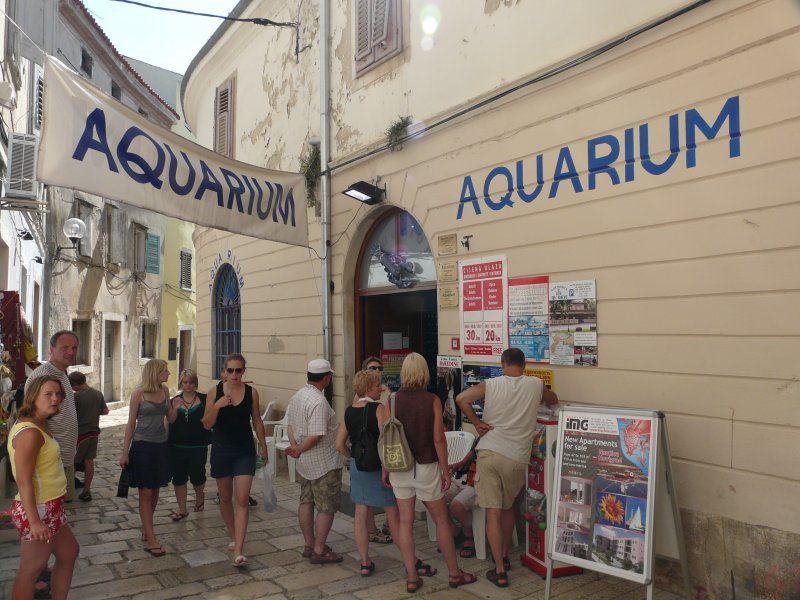 Aquarium w centrum Porec