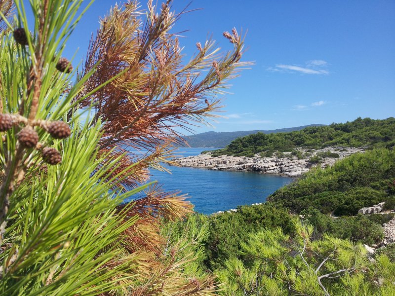 Okolica campingu Vrboska na wyspie Hvar