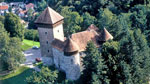 Zabytkowy zamek Dubowac
