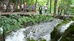 Kładki dla turystów zwiedzających Plitvice