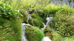Świat fauny i flory w parku Narodowym Plitvice
