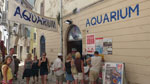 Aquarium jedna z atrakcji turystycznych