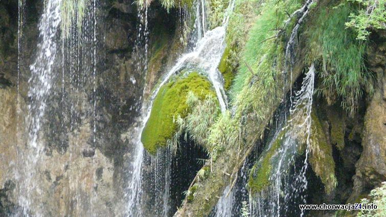 Bogactwa naturalne Parku Narodowego