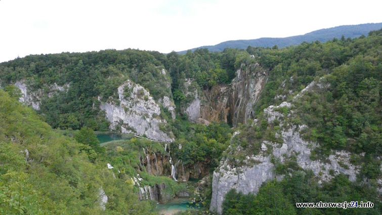 Bujna flora Parku w Plitvicach