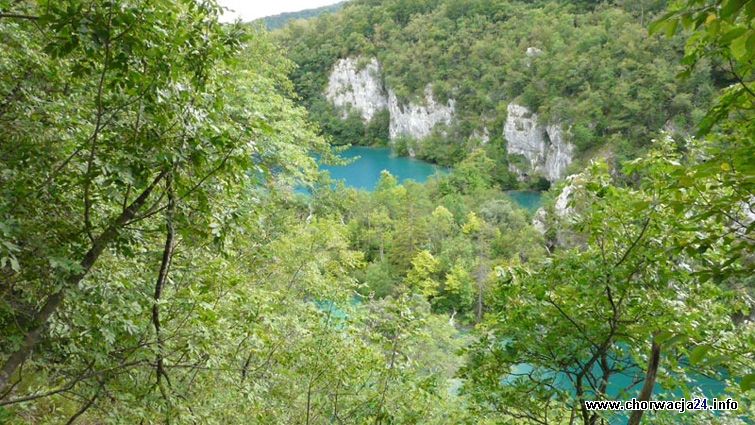 Zielone płuca plitvickiej flory