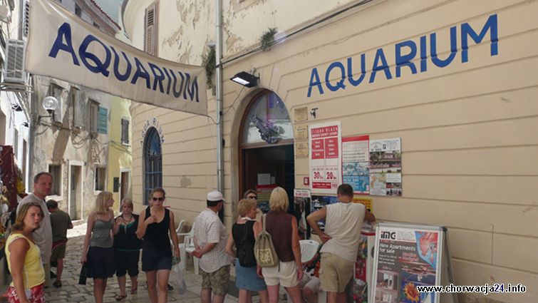 Aquarium jedna z atrakcji turystycznych