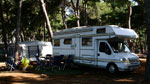 Camping Pineta