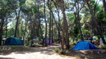 Camping Tasalera