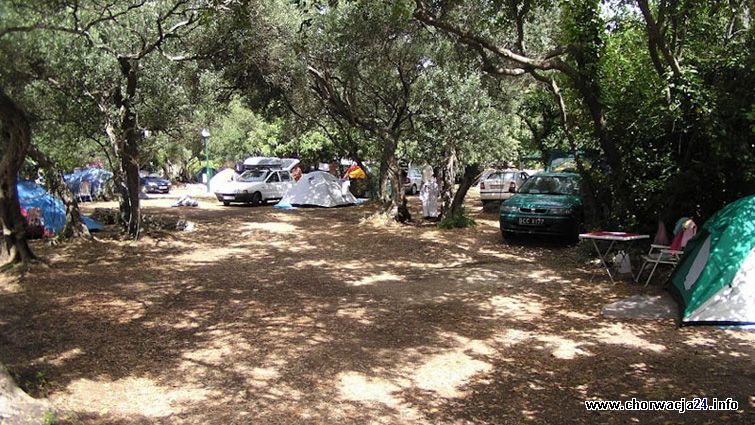 Camping Pod Maslinom