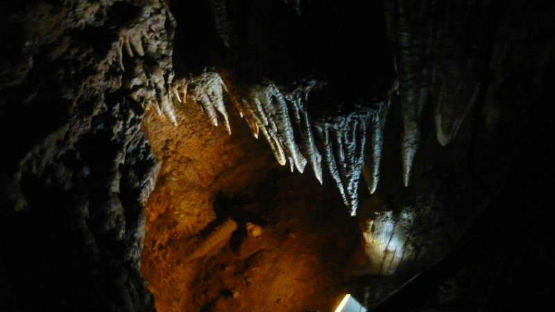 Skamieliny i stalaktyty powstawające przez kilka tysięcy lat